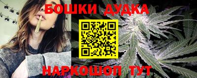 Альфа ПВП Обь