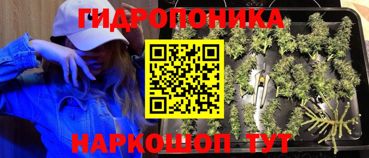 Шишки марихуана THC 21%  Вход с VPN  Алейск  Шишки марихуана White Widow 
